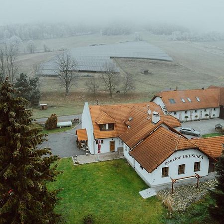 Penzion Brusinka Kocourov  Екстер'єр фото